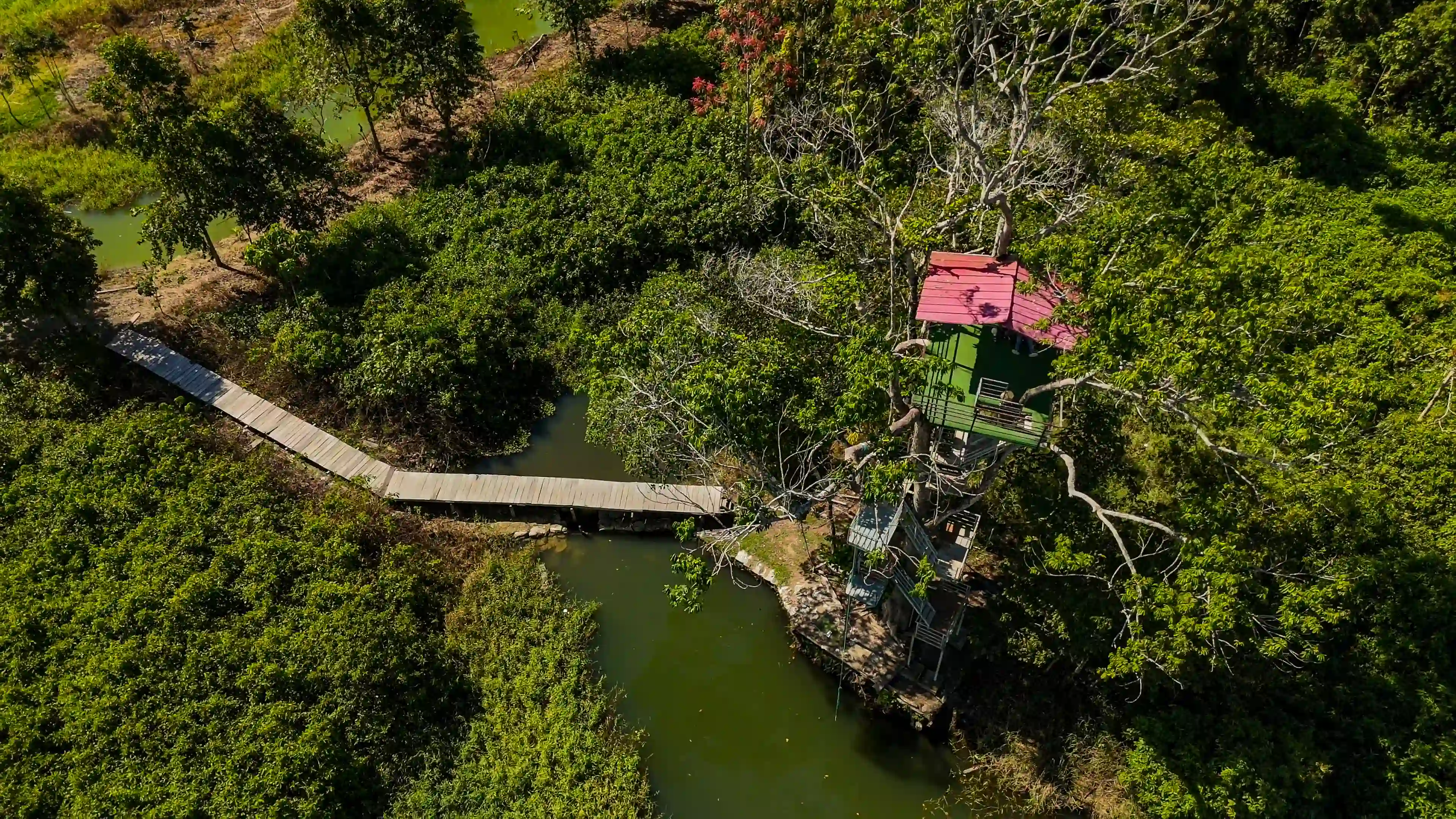 Imagen de Eco Centro Isla Río Verde