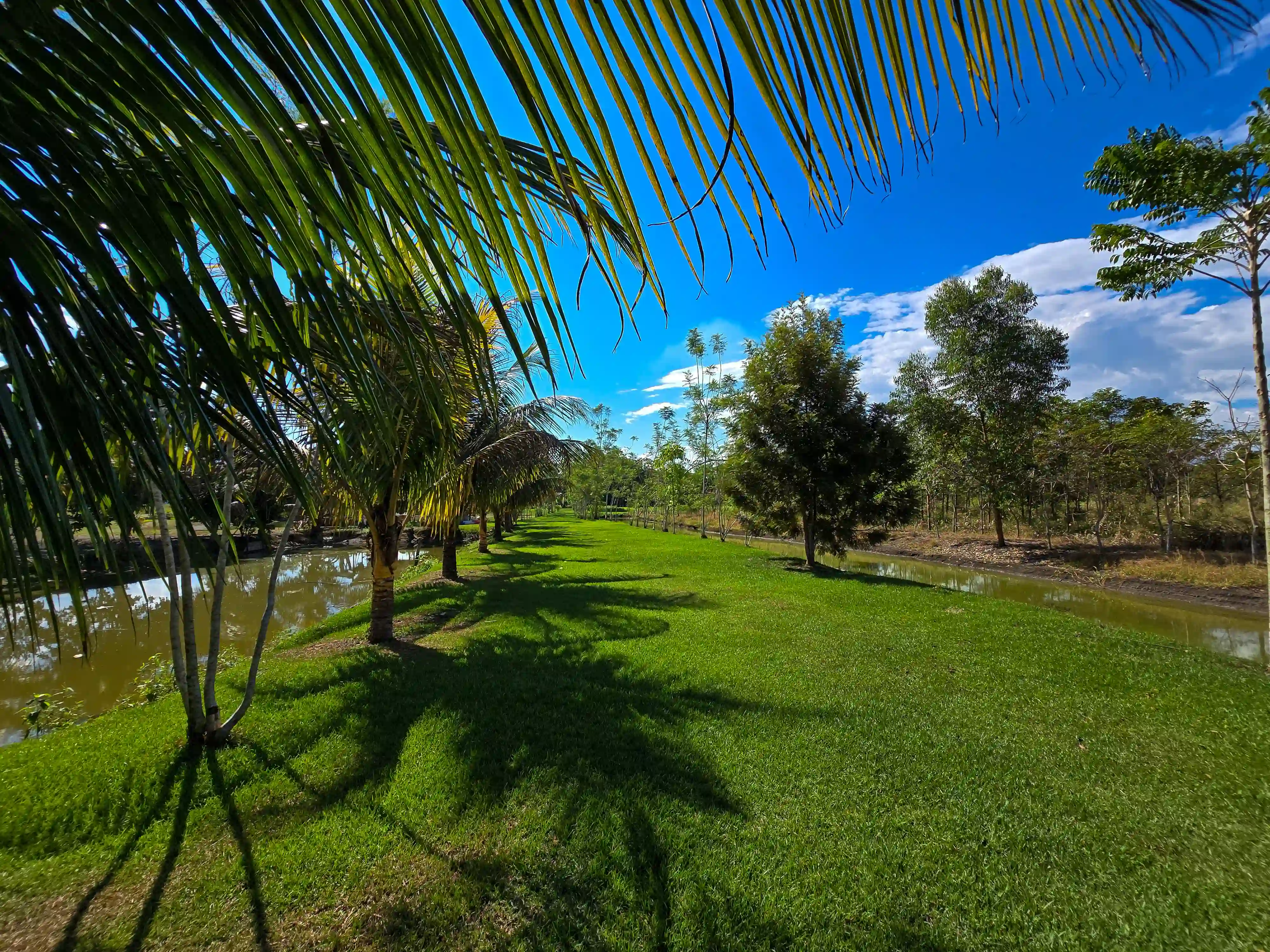 Eco Centro Isla Río Verde