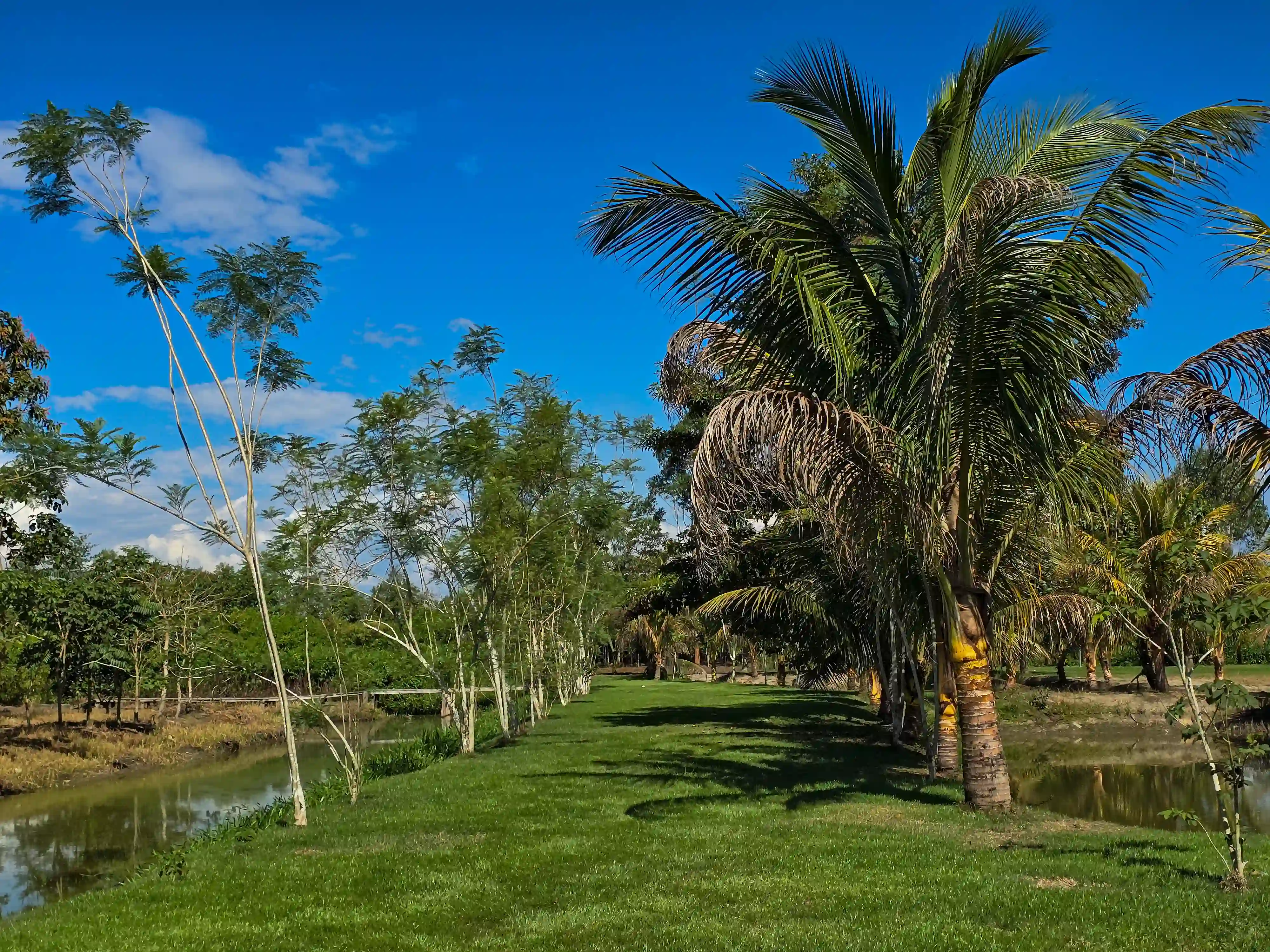 Eco Centro Isla Río Verde