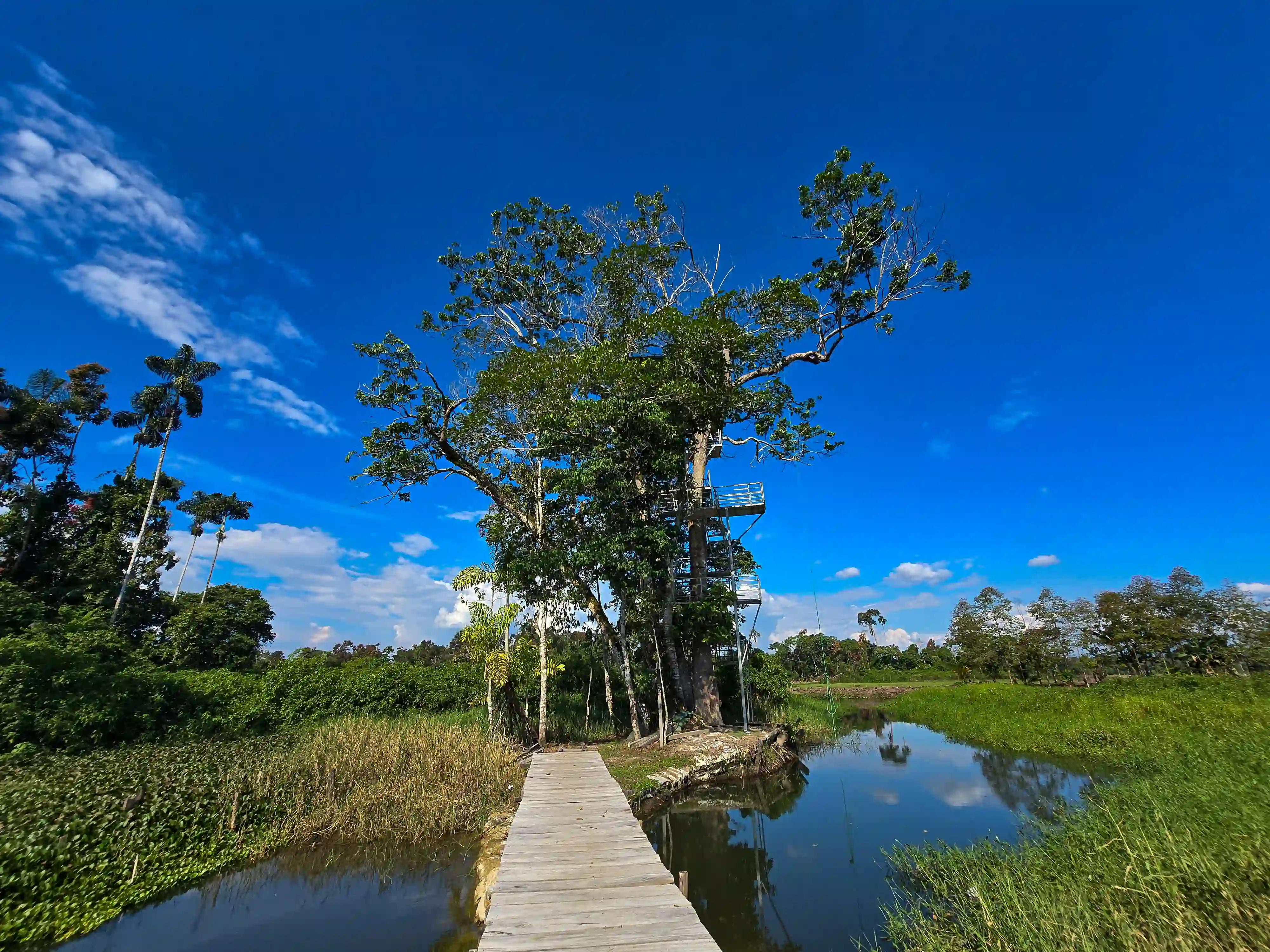 Eco Centro Isla Río Verde