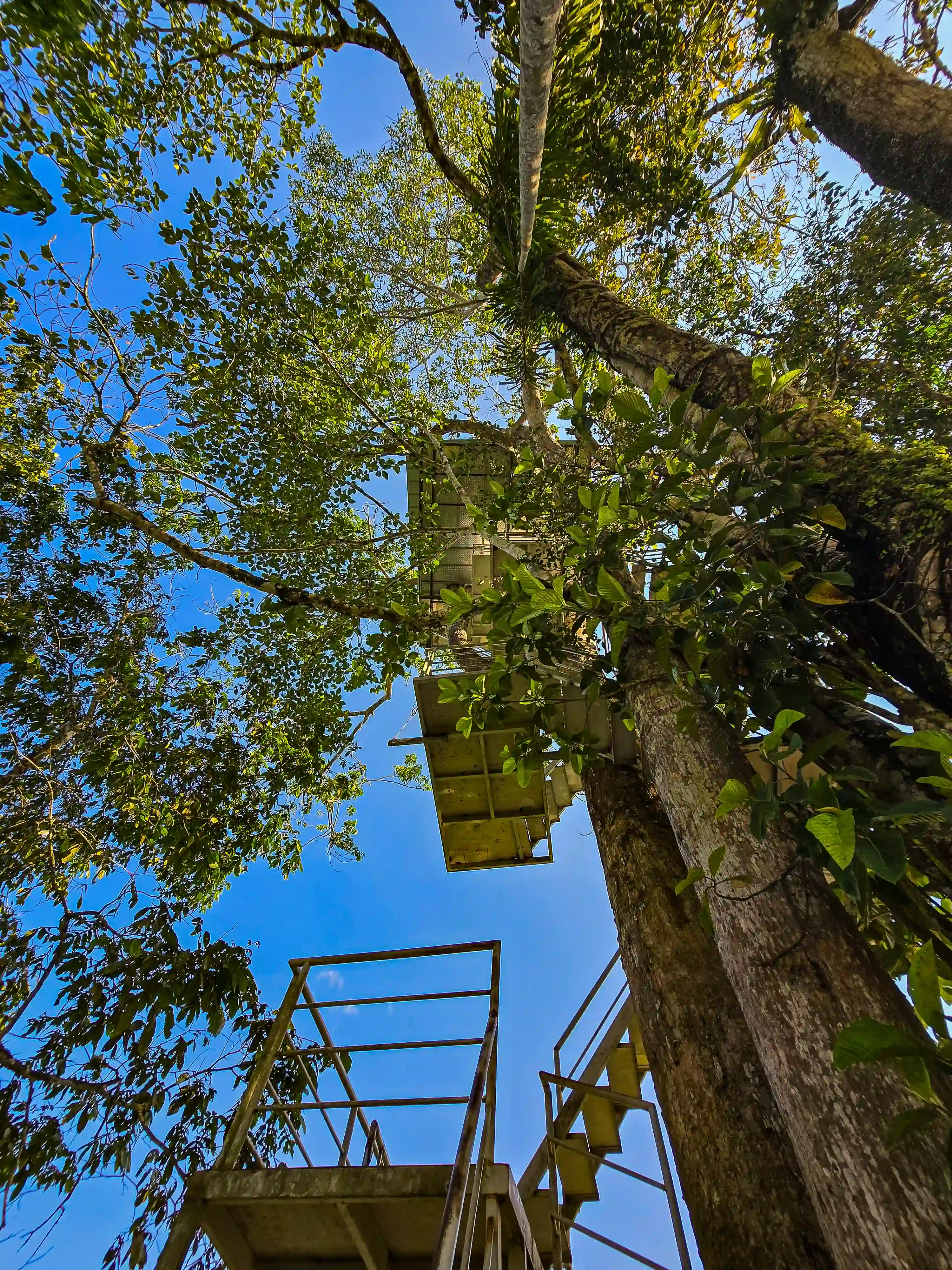 Eco Centro Isla Río Verde