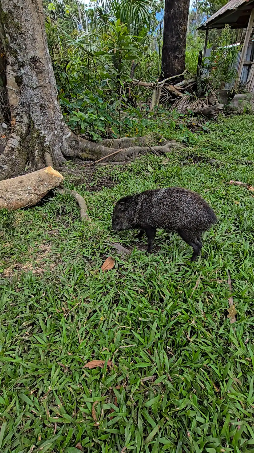 Recreo Turístico y Hospedaje Villa María