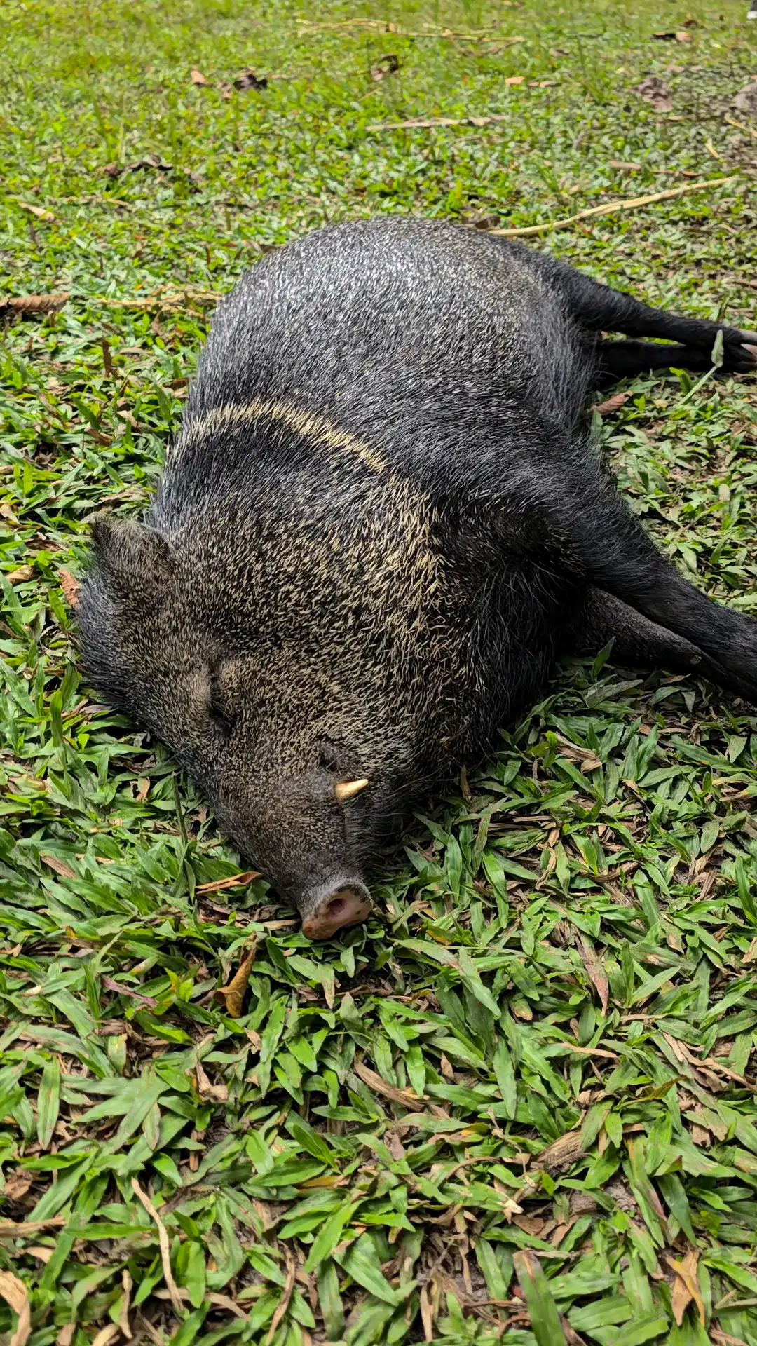 Recreo Turístico y Hospedaje Villa María