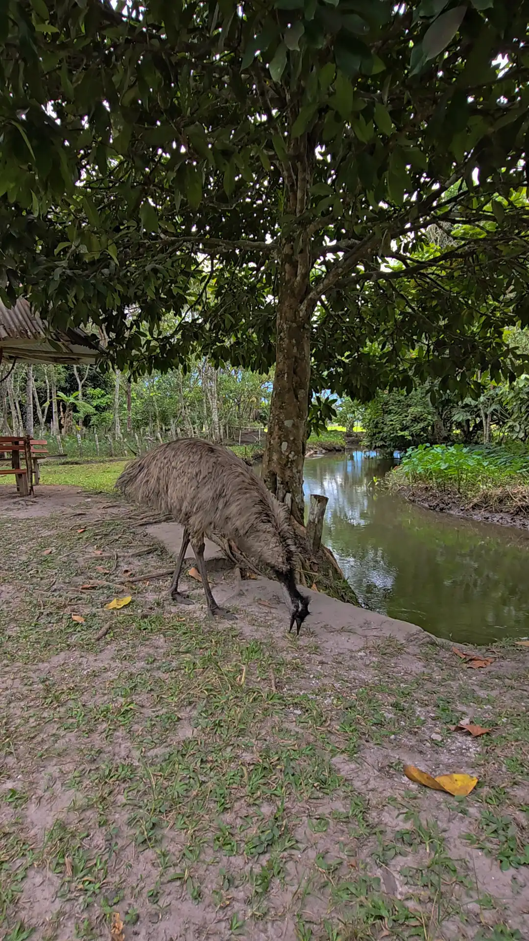 Recreo Turístico y Hospedaje Villa María
