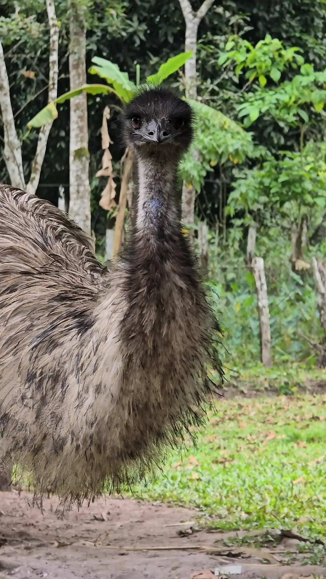 Recreo Turístico y Hospedaje Villa María